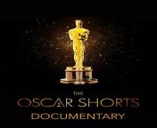 oscar shorts documentary temporary.jpg from short film 2022