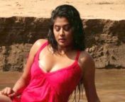 x1080 from fuckd kannada actress priyamani sex video porn wapgla naika all xxx ky