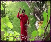 x1080 from 2015 pashto videos da ismail shahid