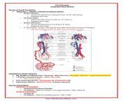 20230110013530 63bcc0e23c39f path congenital heart defects6p page0.jpg from intip34