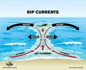 mcdowell rip currents 1 1024x794.jpg from rips it open and oh