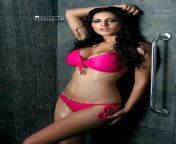 alia bhatt sunny leone urvashi rautela share their love for pink bikini view pics 201703 933860.jpg from and hot sexunny leon alia bat xxx