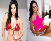 sunny leone belle knox.jpg from sunny leone with xxx actresses real sex blue film 3gp videos