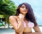 check out pooja hegde raising the temperature in her white bikini pictures from the maldives 202201 1642595982.jpg from pooja hot nipple sexy