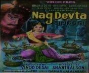 naag devta.jpg from tamil naag devta movie song naika