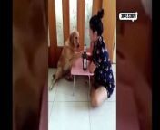 viral video 1506912323 jpeg from कुत्ता से औरत की चुदाई