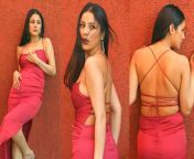 shehnaaz gill hot video sexyy pics backless red dress jpgimpolicymedium resizew1200h800 from anty female news sexy videos pg page xvi