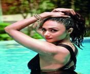 99137197.jpg from kannada actress shruti swim dres hot seen with girlsw rep xvideo com