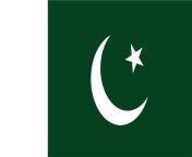 illustration of pakistan flag vector.jpg from paki u