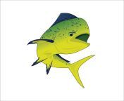 illustration of mahi mahi fish used for fishing logo company free vector.jpg from mahi sixcw sexyvideos comoe yu san အောကား ဖူးကား လိုးကား အပြ€