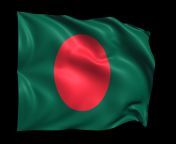 bangladesh waving flag realistic transparent background free.png.png from bangladeshi pole