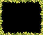 spring branches with leaves on border with copy space green and yellow leaves frame on white background vector illustration panorama landscape summer leaves frame free.png.png from borber