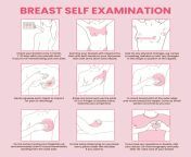 breast self exam instruction breast cancer monthly examination infographics vector.jpg from breast check