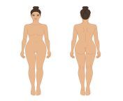 woman body front and back view illustration isolated outline line contour color template girl without clothes vector.jpg from back see com