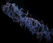 vdo mp4 helix human dna 3 d rendering video.jpg from mp4 hd video