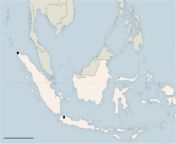 0113 web bandaaceh2map 460.png from 美国代孕微信群电话19123364569美国代孕微信群 0113
