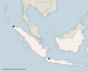 0113 web bandaaceh2map 300.png from 美国代孕微信群电话19123364569美国代孕微信群 0113