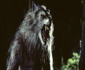 bad moon werewolf social.jpg from bd mon