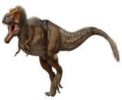 3b trex illustrationzhao chuang.png from tr ex