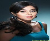 actressalbum com shamna kasim poorna hot stills 9.jpg from actress shamna kasim hot sexy blue saree at 31n