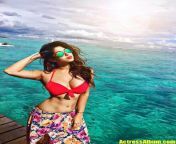 actressalbum com sonarika bhadoria bikini photos 1.jpg from mouli roy sonarika bhadoria