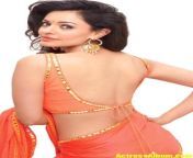actressalbum com actress pooja kumar gorgeous photo shoot photos 2.jpg from pooja kumar xx
