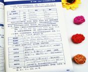 3pcs set japanese learning book lntroductory self study standard japanese elementary education course japanese word grammar.jpg from japanese อวบอ้วน