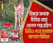 300323 image 2023 06 12t154509 012 sixteen nine.jpg from sex video babi deer bangladesh no sexy xxx pakistan