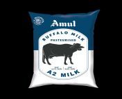 amul buffalo.png from buffelo milk push handledis hindi 3gp vide