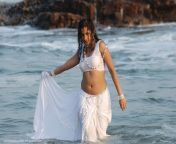a24cd madhavi latha hot wet white saree stills252832529.jpg from madhavi latha hot transparent saree 6 jpg
