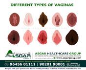 different types of vaginas labia majora labia minora sex positions 2.jpg from indian red vagina