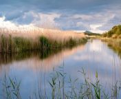 glastonbury tor wetland foreground 1800x1200.jpg from 斯博国际（关于斯博国际的简介） 复制打开：hk8686 cc 手机上买彩票正规（关于手机上买彩票正规的简介） 复制打开：hk8686 cc 641