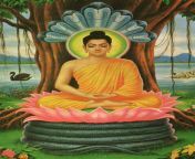 lord buddha.jpg from desi budha babaji gay sex