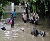 264376 mld flood.jpg from নায়কা নদীর চোদাচুদি