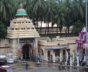 gundicha temple jagannath rath yatra jpgw350 from বাংলা ভাষায় কথা এবং চোদাচুদির প