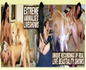 dog sex live extreme bestiality liveshows.jpg from dogs and sex full movie xxx hd
