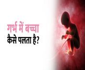गर्भ में बच्चा कैसे पलता है.jpg from सुडौल भारतीय बच्चा पर वेबकैम