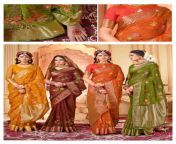 lifestyle manjula vol 2 series 27161 27164 silk saree 1 2024 02 27 13 38 55 jpeg from gauri manjula beautiful hd saree photohalini varma nude gaand