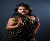 telugu actress jyothi hot pics 02.jpg from tollywood actress jyothi hot masala actress spicy hot photos gallery in saree