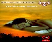 the morning moods 2019 redcow media originals.jpg from the morning moods redcow media
