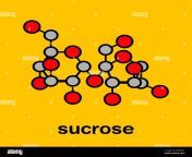 sucrose sugar molecule also known as table sugar cane sugar or beet sugar stylized skeletal formula chemical structure atoms are shown as color 2c9jwwf.jpg from sugar it’s