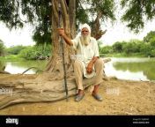 old sikh man in indian village 2gjw5wc.jpg from indian panjabi oldman bangla young ladies