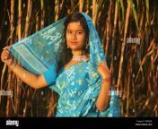 indian bengali teenage girl wearing blue saree and blouse and holding sari over head with golden color earringsnecklace standing on a sugarcane field 2dbcj88.jpg from indian desi villege maharastra saree peticote real porn sex dasi