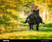 beautiful blonde female horse rider on a horse without sadle in the woods in the setting sun autumn day horse riding horseback riding 2djndap.jpg from beautiful riding 7