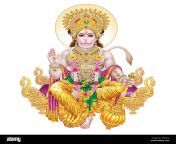 browse high resolution stock images of lord hanuman 2f5rg74.jpg from hanuman or hi