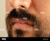 close up photo of brown skinned man with long facial hair and moustache 2h2557b.jpg from indian hairy pssiurkish vintage