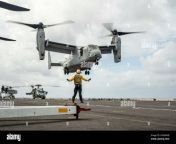 philippine sea jan 18 2022 an mv 22b osprey assigned to marine medium tiltrotor squadron vmm 165 reinforced 11th marine expeditionary unit meu prepares to land aboard wasp class amphibious assault ship uss essex lhd 2 jan 18 2022 carl vinson carrier strike group vincsg and essex amphibious ready group esx arg are conducting joint expeditionary strike force operations in the philippine sea as part of continuing and routine interoperability training operations in the indo pacific region us marine corps photo by sgt israel chincio 2hgxwxb.jpg from ‏11th class girl xxx