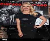 new york ny usa 23rd mar 2022 pamela anderson photo call for pamela anderson debuts in chicago on broadway the civilian hotel new york ny march 23 2022 credit cj riveraeverett collectionalamy live news 2j181he.jpg from pamela anderson chi clip