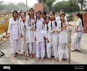girls school class at a near delhi delhi rajasthan india 2n3wh9w.jpg from marwadi school g