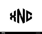 xnc letter logo design with polygon shape xnc polygon and cube shape logo design xnc hexagon vector logo template white and black colors xnc monogr 2rhd0yr.jpg from xnc jpg